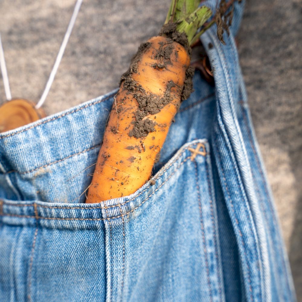 Afbeelding voor Regeneratieve landbouw