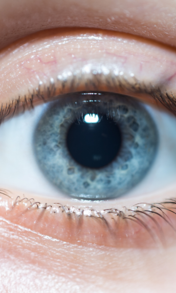 Afbeelding voor Kalvergezondheid: GLOET-methode